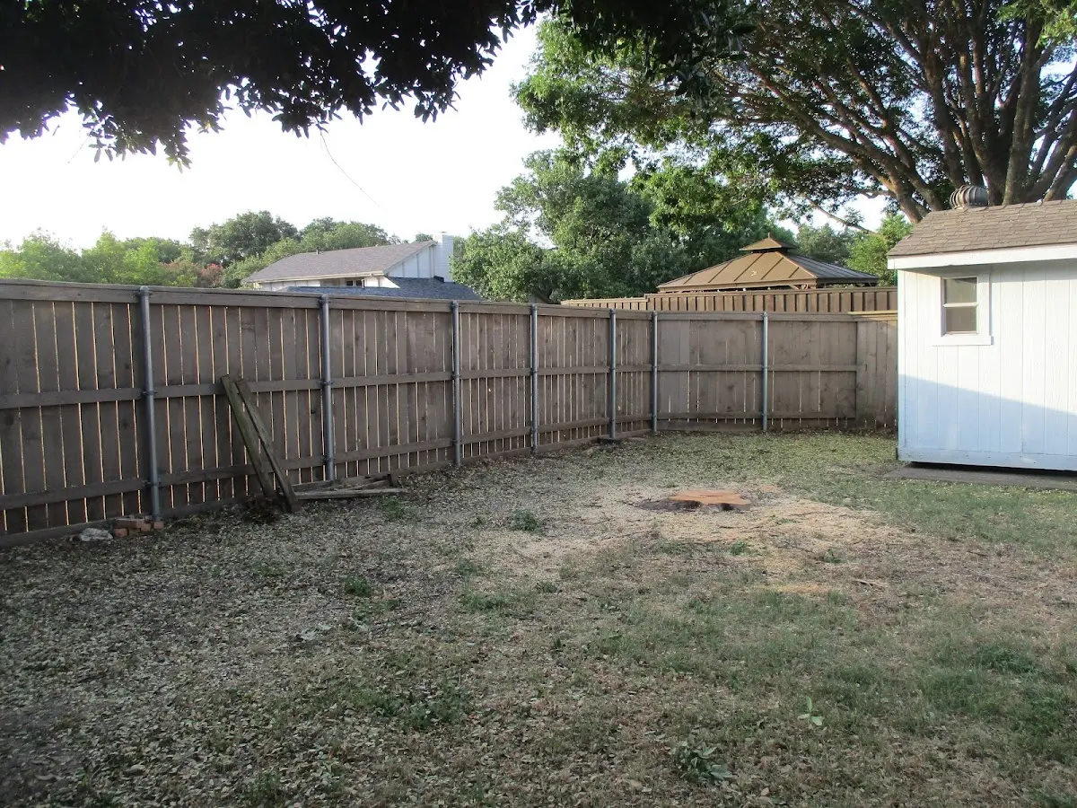 Cleared yard after professional tree removal in Fleming