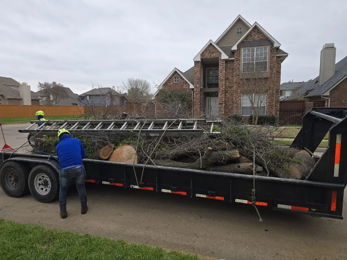 Expert Lot Clearing with proper safety equipment in Fleming